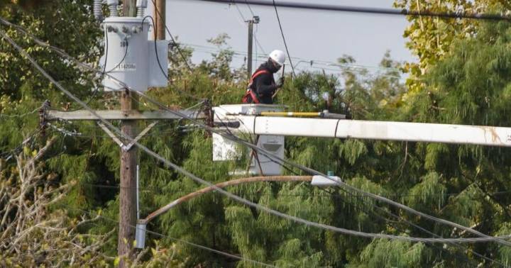 New Orleans City Council moves to reopen investigation into Entergy after uptick in outages