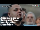 Judge orders immediate release of Abrego Garcia from immigration detention