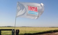 INTA AMBA: “Estamos llegando al cierre definitivo”, alertaron los trabajadores