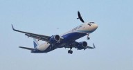 Network fully restored, says IndiGo
