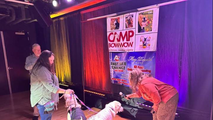 'Pampered Pooch Dog Fashion Show' fundraiser held to provide dogs to individuals with autism