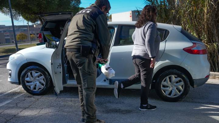 El Gobierno investiga si el virus de peste porcina de Cataluña procede de un laboratorio