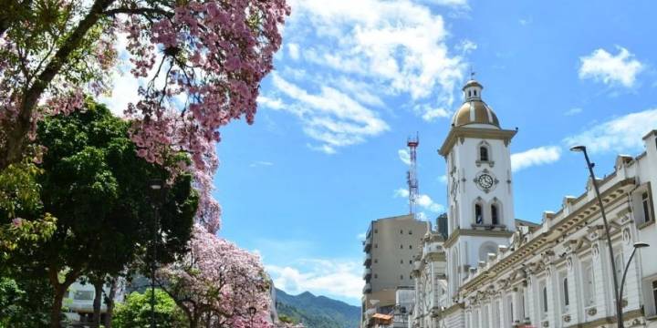 Barrios recomendados en Ibagué: tradición, modernidad y buena ubicación