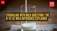 A1 vs A2 milk: Which is actually better for digestion?