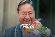 Detienen a expresidente de Bolivia Luis Arce por presuntos actos de corrupción