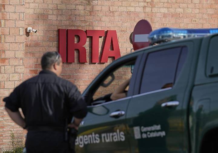 La Generalitat ordena una auditoría de los laboratorios que trabajan con el virus de la peste porcina