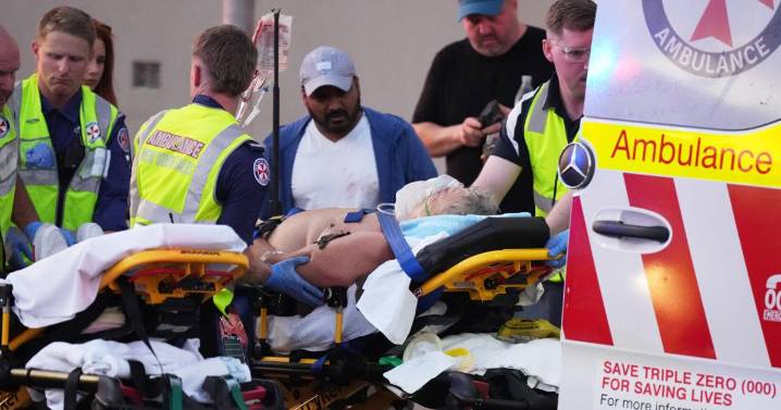 Father and son gunmen kill at least 15 people in attack on Hanukkah event in Sydney