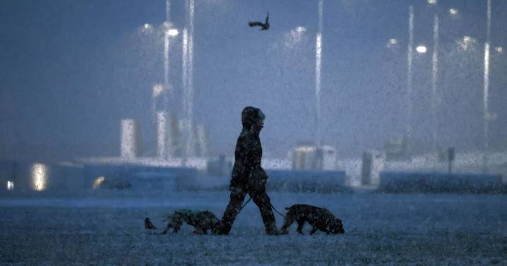 Exactly how much snow forecast to fall in North East this week as wintry weather returns