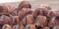 Hy-Vee and QCA first responders give away 300 hams