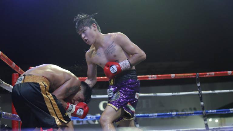 Pugilistas mazatlecos integrarán función de Marco Verde