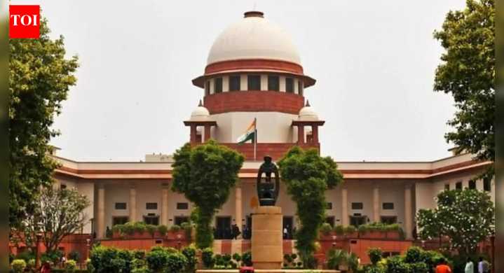 'Obligated to provide': Supreme Court tells states to deploy more staff for SIR; TVK plea flags BLO plight