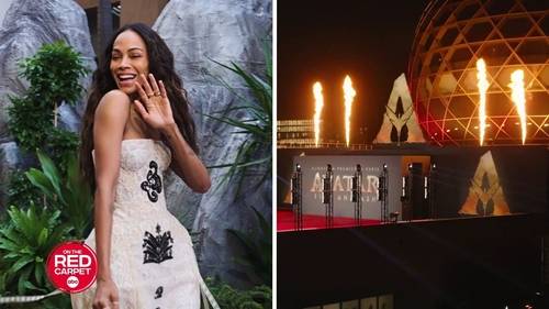 'Avatar: Fire and Ash' cast tours the world: James Cameron, Zoe Saldaña wow fans with global celebrations