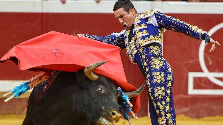 José María Manzanares gana la Concha de Oro 2025