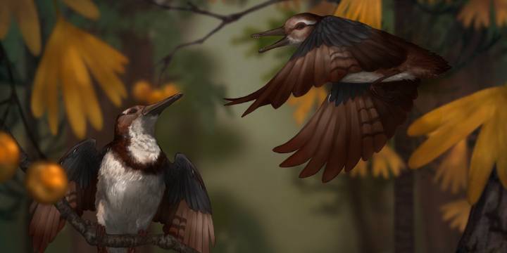 Un fósil permite a científicos reconstruir la insólita muerte de un pájaro prehistórico