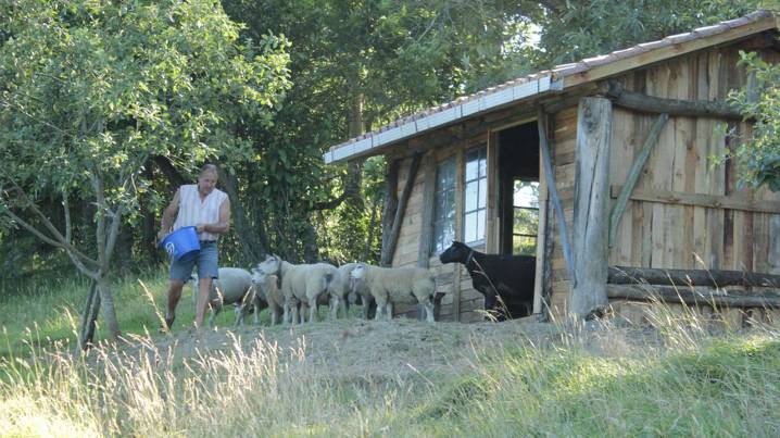 Casi 200 personas se han incorporado al campo con las ayudas para el relevo generacional