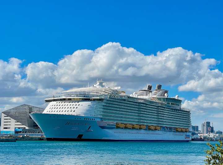 Man who died on cruise was served 33 alcoholic drinks, wife says in lawsuit