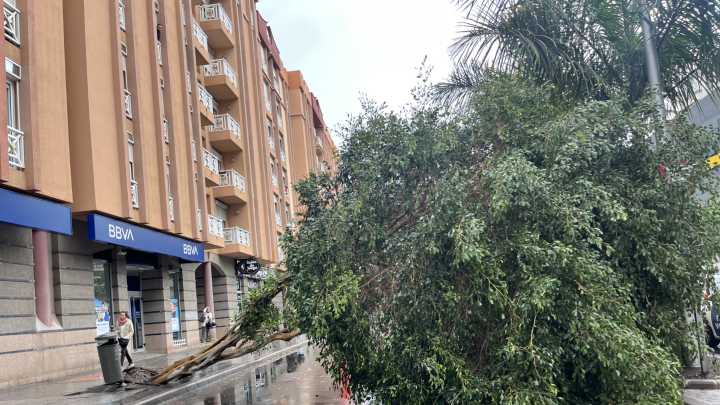 El archipiélago canario ya registra unos 1.130 incidentes con el paso de la borrasca 'Emilia