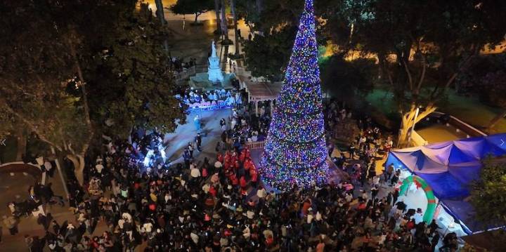 Municipalidad de Copiapó encendió árbol de Navidad de 16 metros