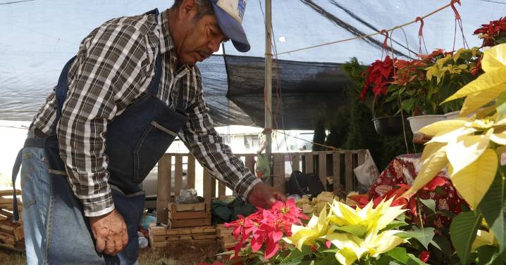 Puebla celebra el Día de la Nochebuena con récord de producción y empleos