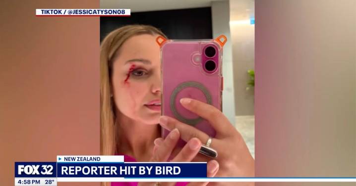 WATCH: Reporter Interrupted By Bird Literally Flying Into Her Face