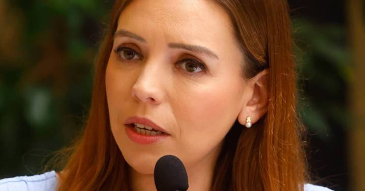 Camila Flores por su permanencia en RN: “Varios podríamos terminar renunciando antes de marzo”