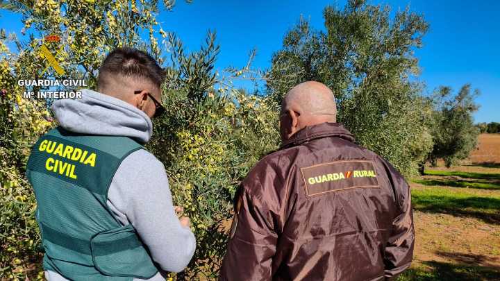La Guardia Civil refuerza la lucha contra los robos en explotaciones agrícolas en la provincia