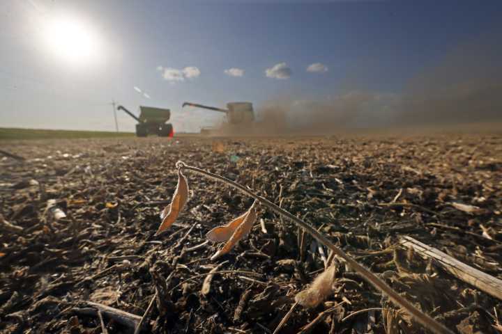 Port: North Dakota farmers need competent trade policies, not a bailout