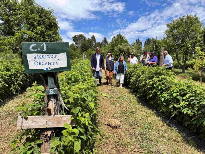 INDAP Ñuble y ECOCERT Chile firman convenio para fortalecer la certificación orgánica en la región.