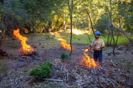 A Queer Climate Movement Takes Root Along the Russian River