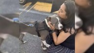 Florida Woman’s Heartbreak Turns Into Joy When A Lost Companion Suddenly Reappears