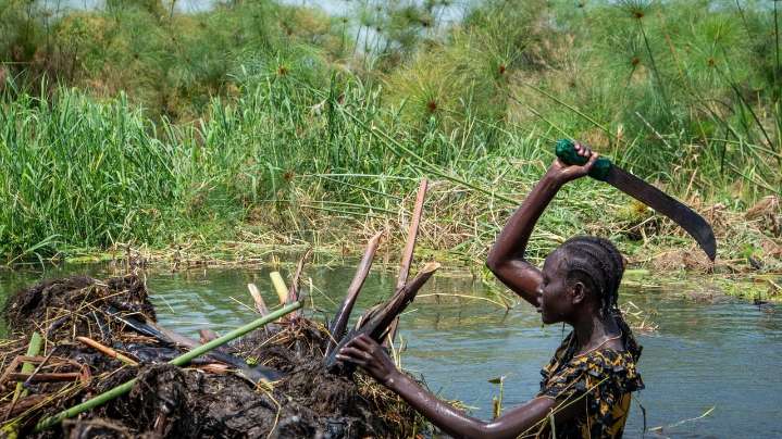 South Sudanese community fights to save land from relentless flooding worsened by climate change