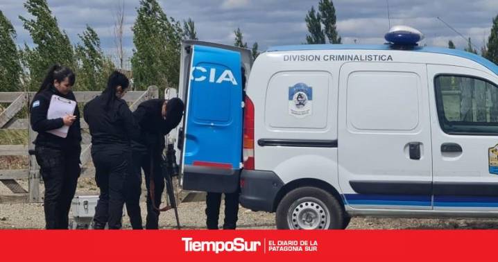 Faltan elementos Recuperan gran parte de las armas robadas de una chacra