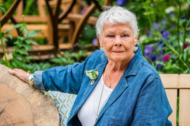 Dame Judi Dench is scared about ‘losing the plot’ as her health deteriorates