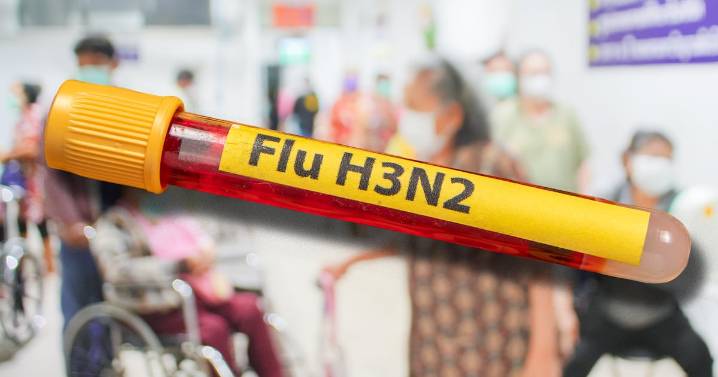 ‘Súper gripe’ H3N2: Así fue la pandemia de influenza que azotó a EU y el mundo en 1968