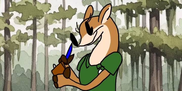 Chatham County launches animated series to explain local government