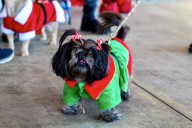 Holiday markets, toy drives: 6 things to ...