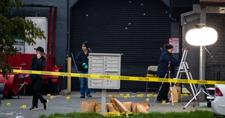 Witnesses of deadly shooting at a child's party in California urged to come forward