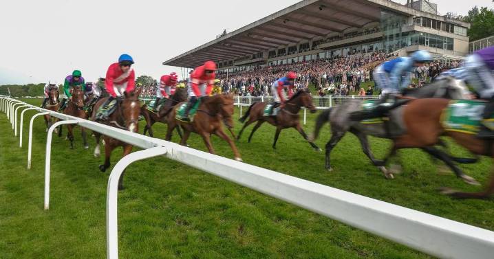 Newsboy's horseracing tips for Friday's four meetings, including Sandown NAP