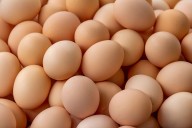Major Farm Issues Egg Recall Due to Possible Salmonella Contamination
