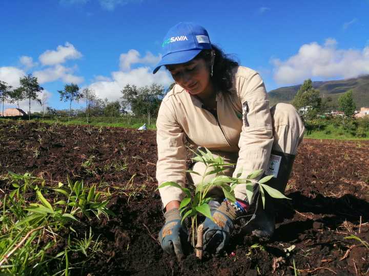 Comunidades de Nariño apuestan por la agroecología para combatir la degradación del suelo