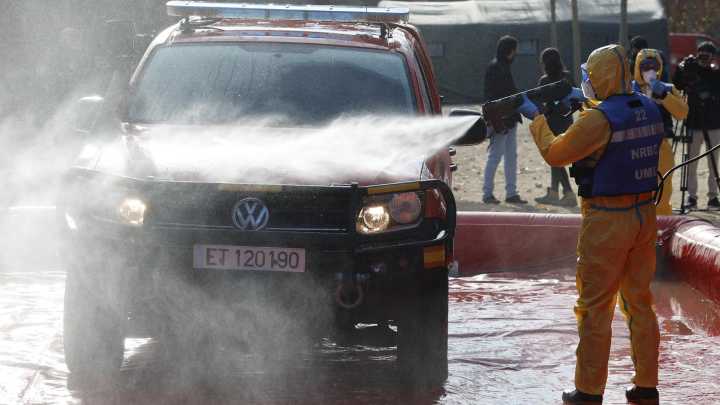 O Goberno eleva a 9 os casos de xabarís con peste porcina no radio do primeiro foco