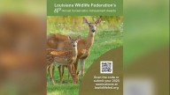 Nominations open for Louisiana Wildlife Federation's 60th annual Conservation Achievement Awards