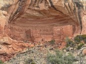 This Trump nominee wants to liquidate public lands