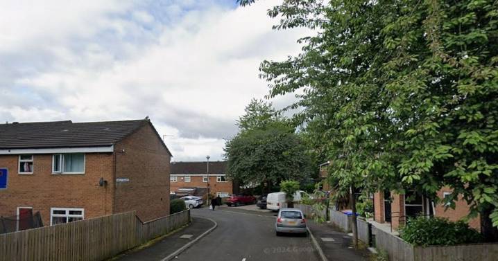 Everything you need to know after shooting leaves woman injured