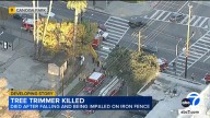 Worker killed, impaled by fence after falling during tree trimming operation in Canoga Park, LAFD says