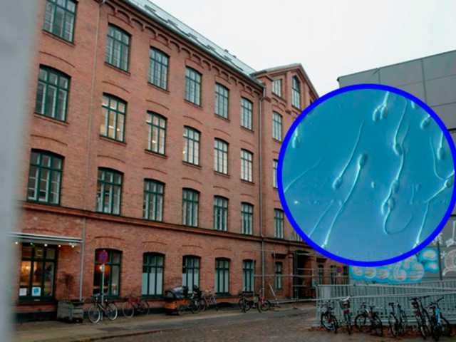 Europa bajo alerta: donante con mutación cancerígena engendró casi 200 niños