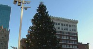 79th annual Christmas Tree Lighting in Sundance Square kicks off soon