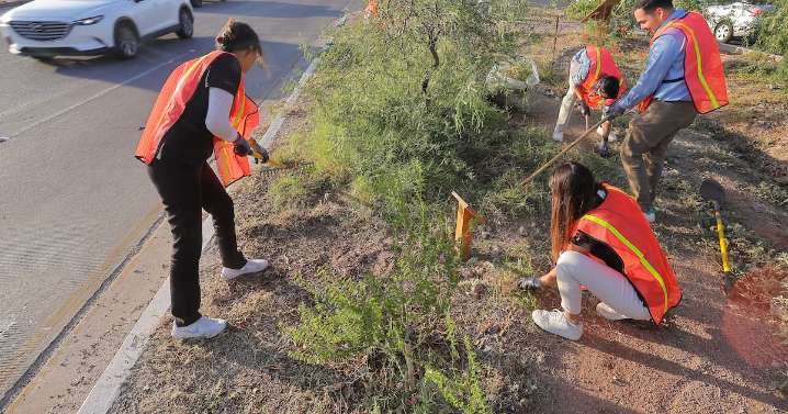 Buscan tener barrios más frescos: Asociaciones civiles presentarán resultados de estudio comunitario en cinco colonias de Hermosillo