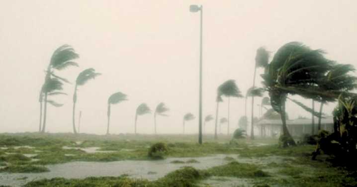 ¡Alerta amarilla! Anuncian incremento de vientos en la selva central y sur para este fin de semana