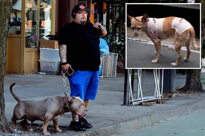NYC dog owner Joseph Columbus arrested after failing to turn over pit bulls